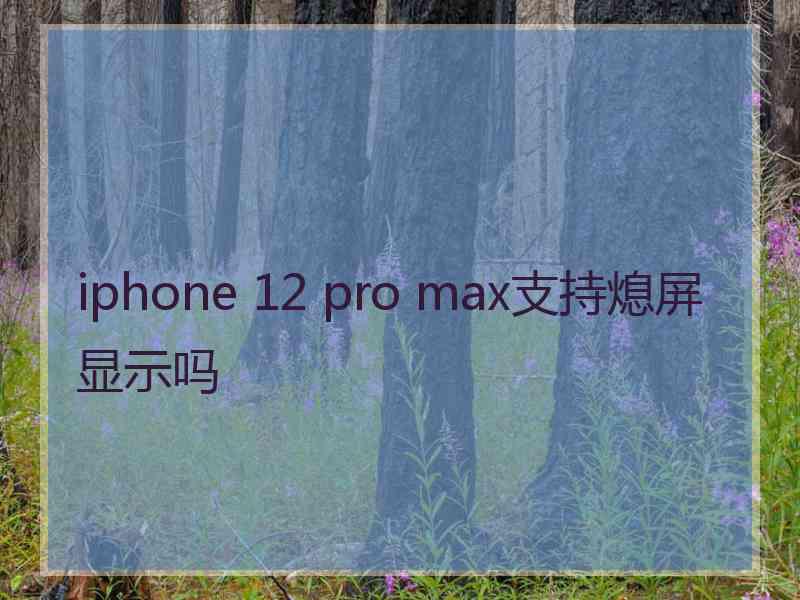 iphone 12 pro max支持熄屏显示吗