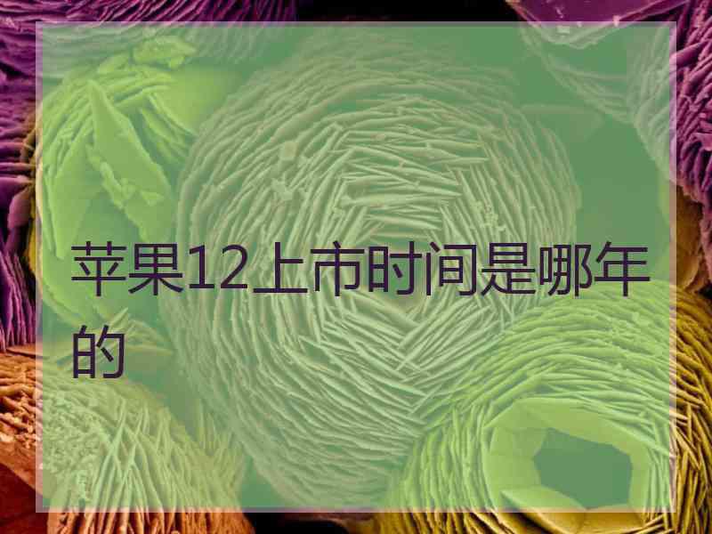 苹果12上市时间是哪年的