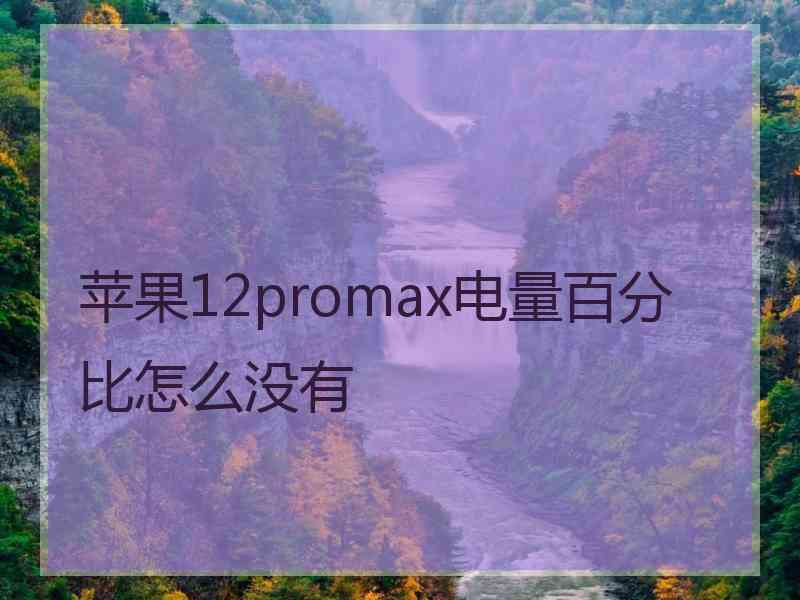 苹果12promax电量百分比怎么没有