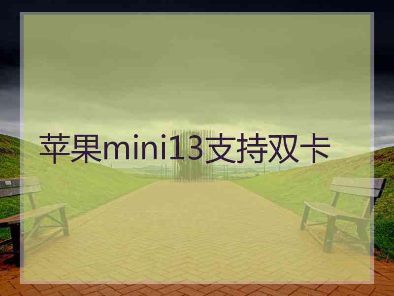 苹果mini13支持双卡