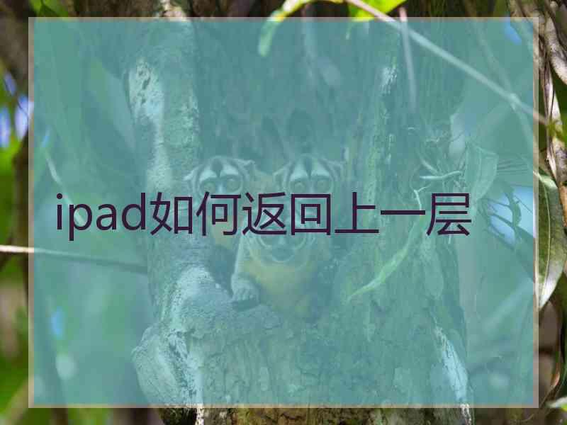 ipad如何返回上一层