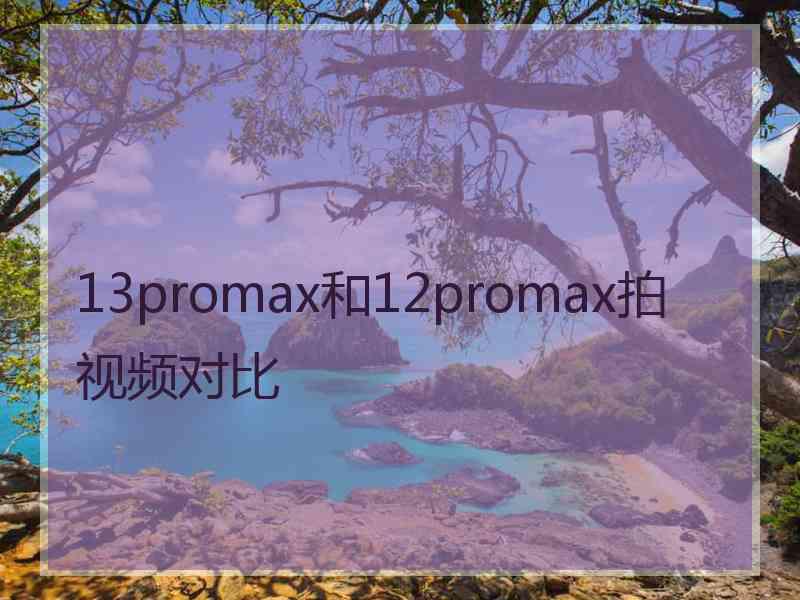 13promax和12promax拍视频对比