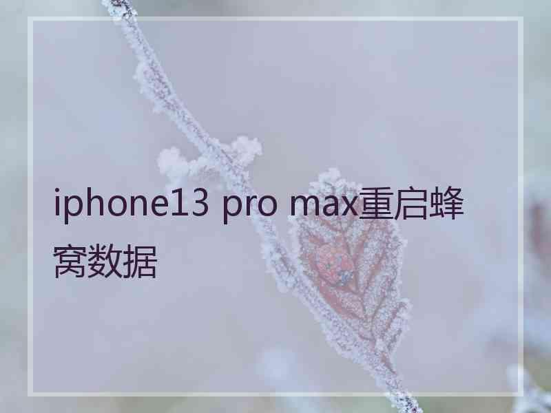 iphone13 pro max重启蜂窝数据