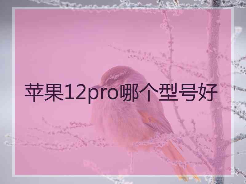 苹果12pro哪个型号好