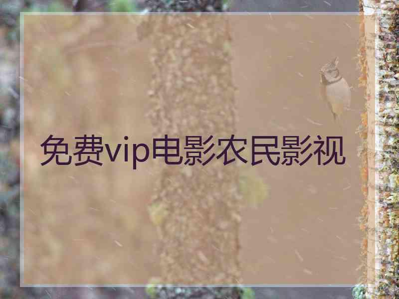 免费vip电影农民影视