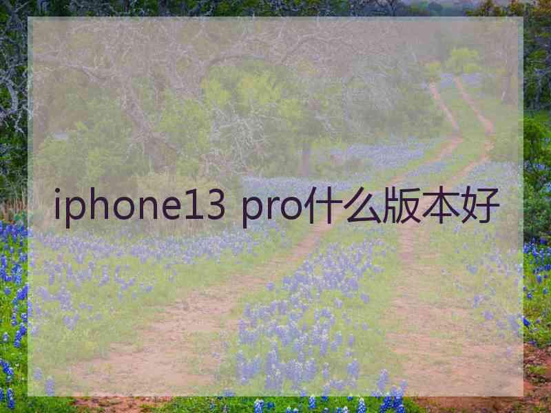 iphone13 pro什么版本好