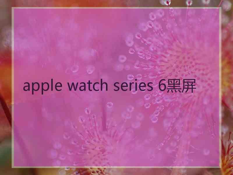 apple watch series 6黑屏