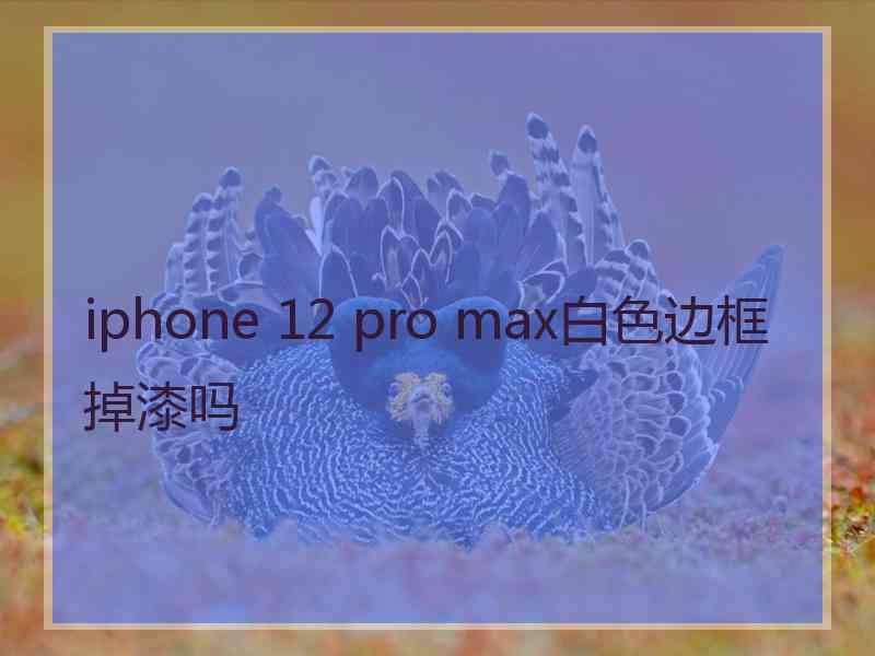 iphone 12 pro max白色边框掉漆吗