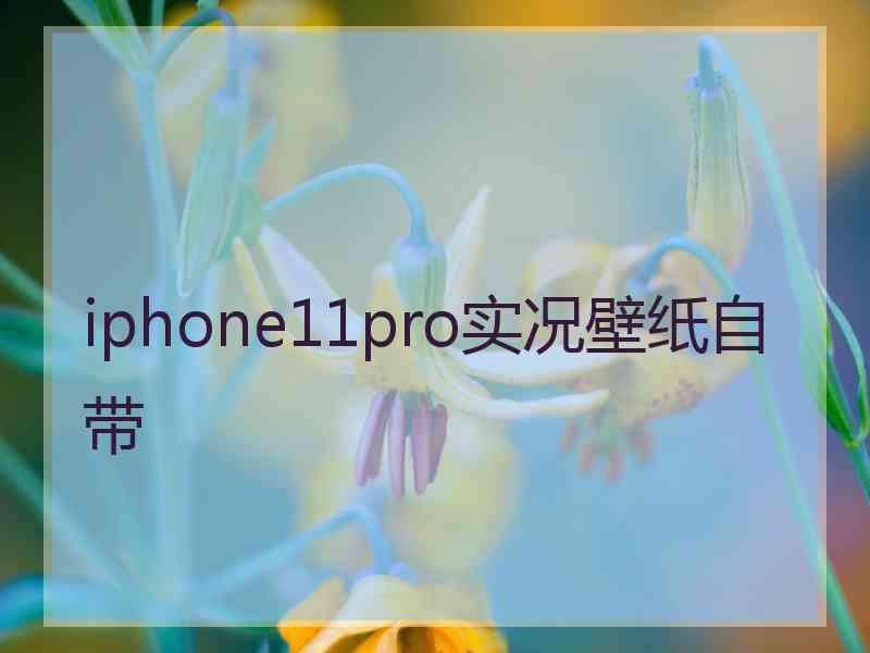 iphone11pro实况壁纸自带