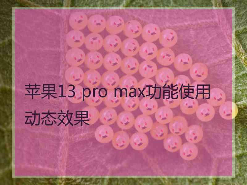 苹果13 pro max功能使用动态效果