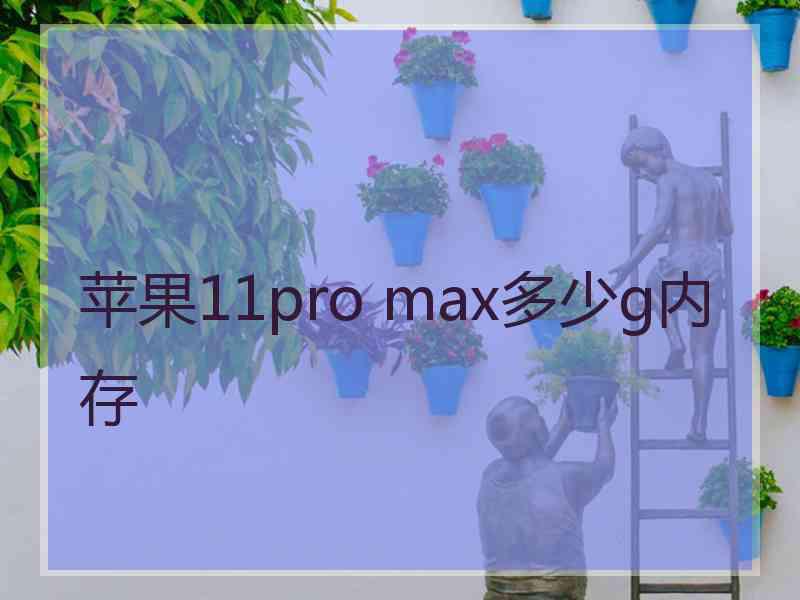 苹果11pro max多少g内存