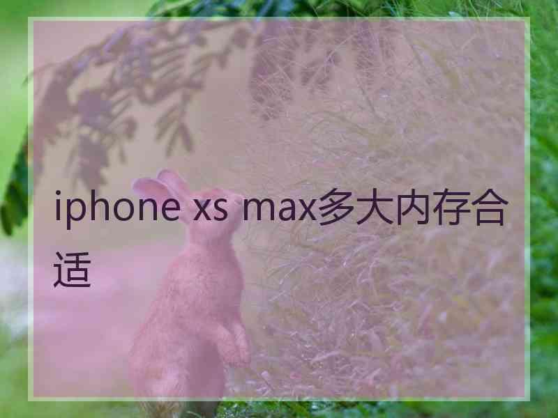 iphone xs max多大内存合适