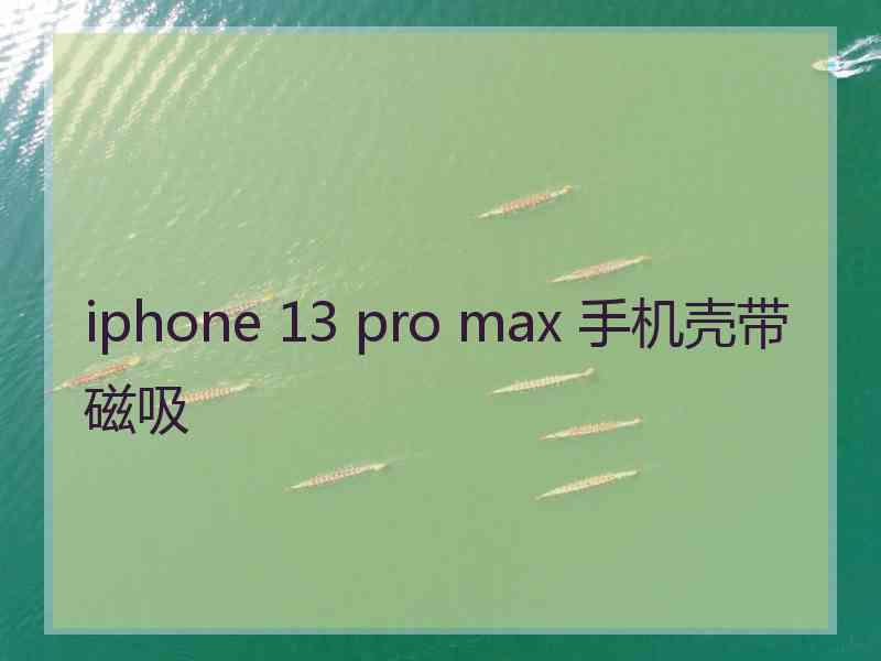 iphone 13 pro max 手机壳带磁吸