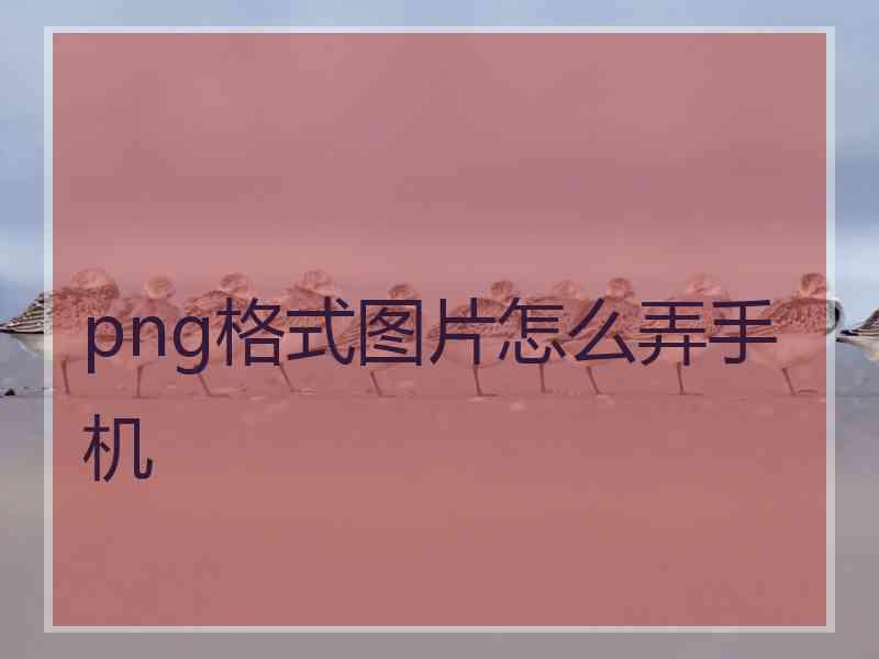 png格式图片怎么弄手机