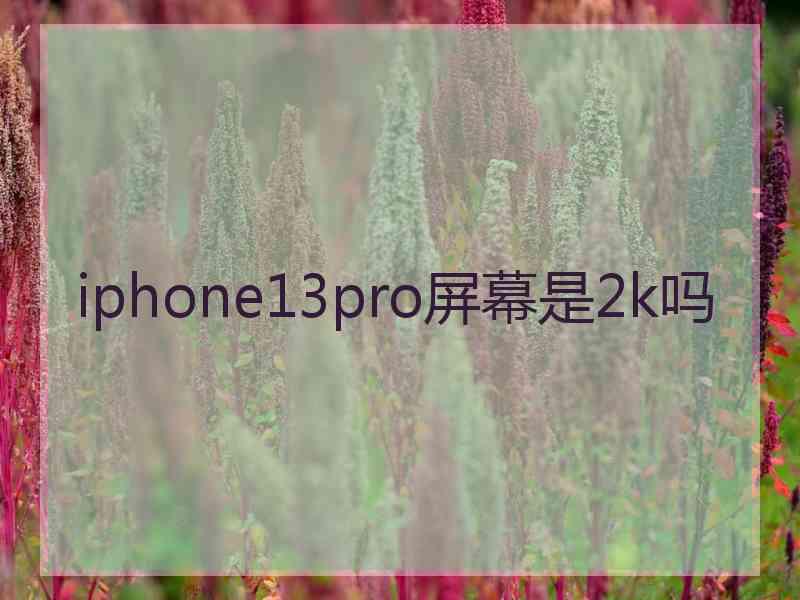 iphone13pro屏幕是2k吗