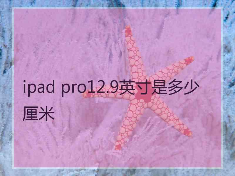 ipad pro12.9英寸是多少厘米