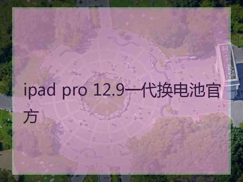 ipad pro 12.9一代换电池官方