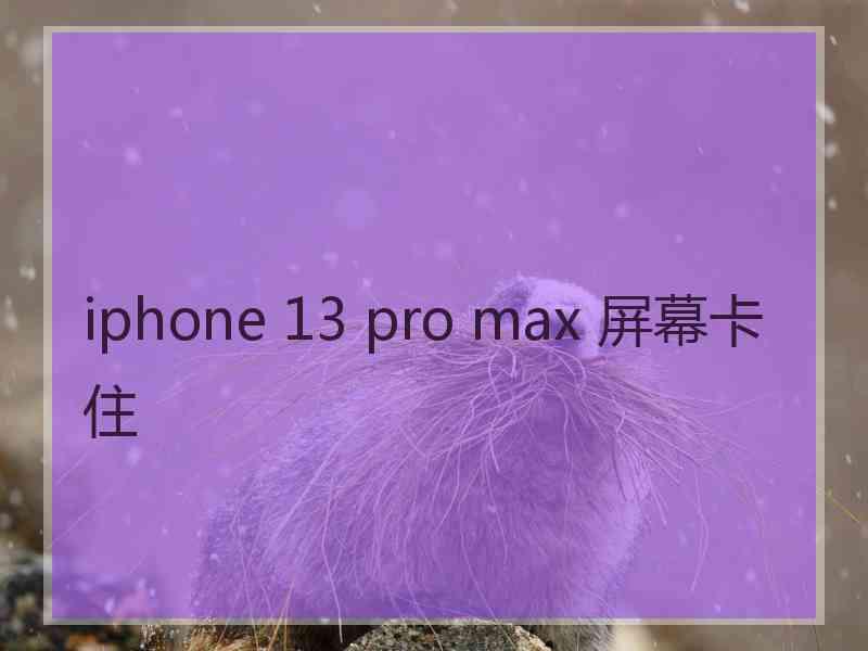 iphone 13 pro max 屏幕卡住