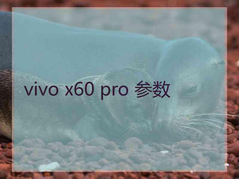 vivo x60 pro 参数