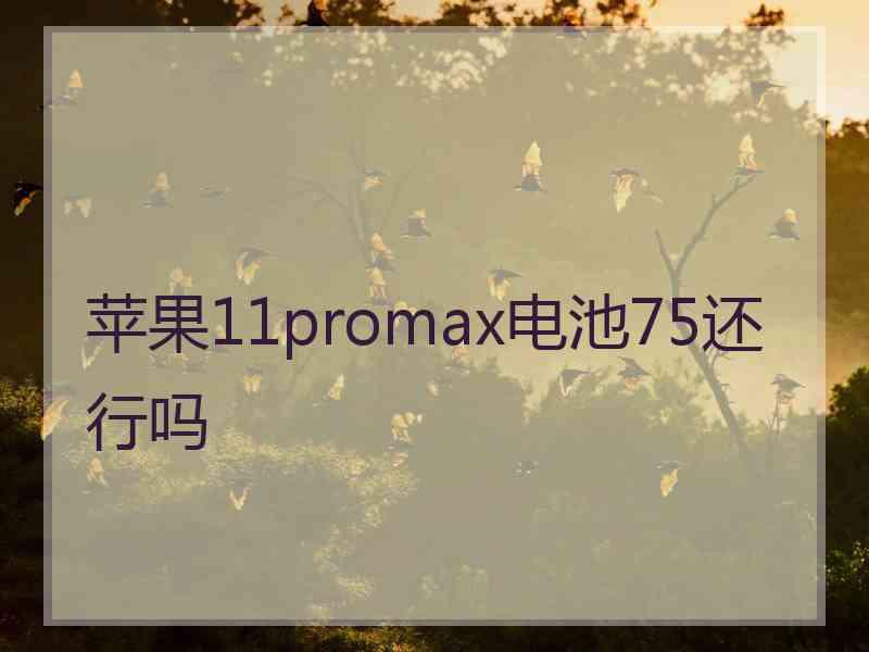 苹果11promax电池75还行吗