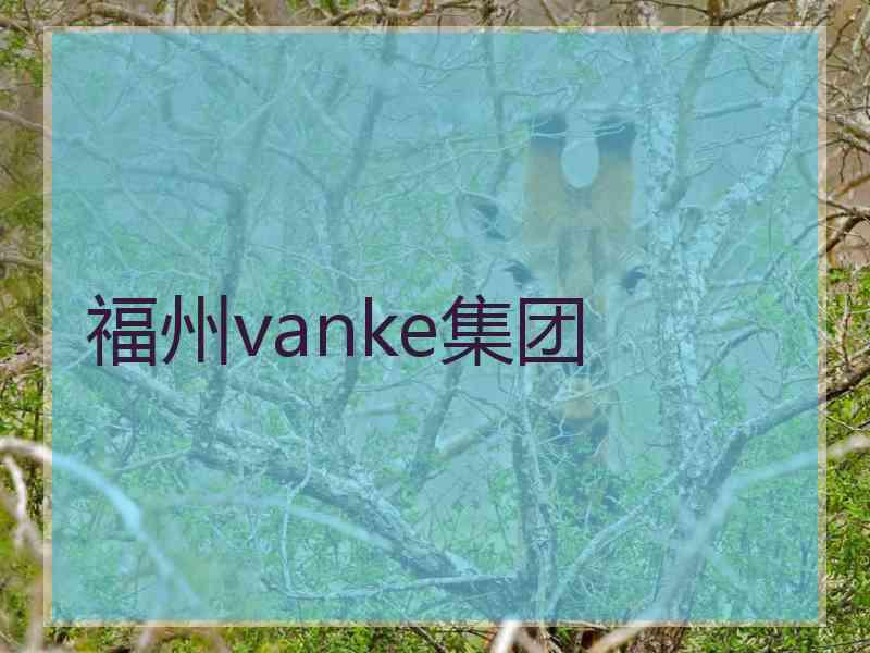 福州vanke集团