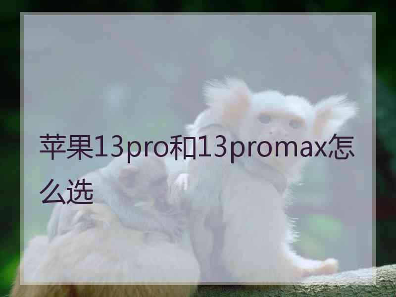 苹果13pro和13promax怎么选