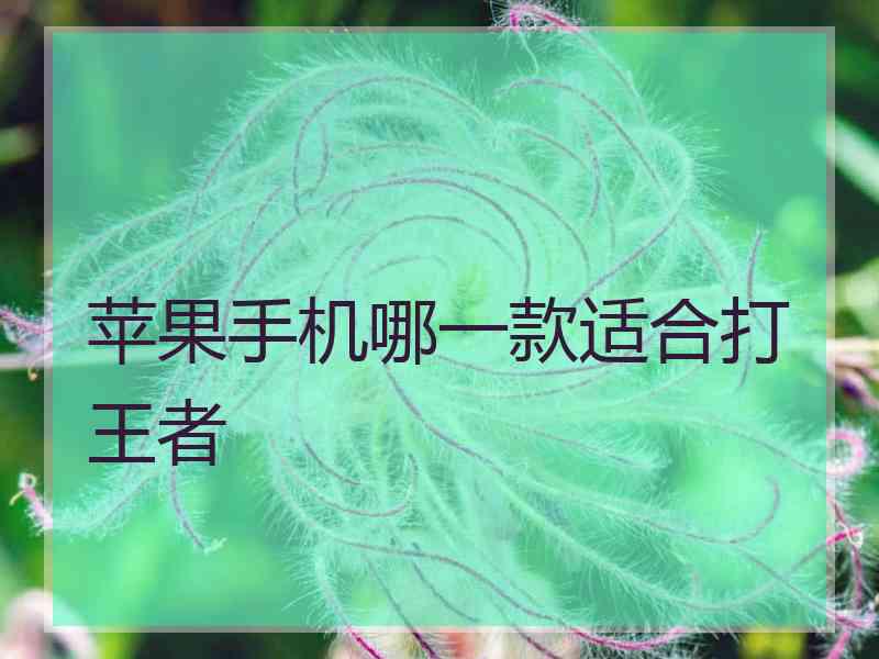 苹果手机哪一款适合打王者