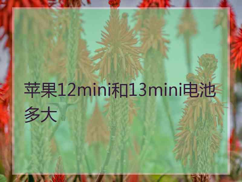 苹果12mini和13mini电池多大