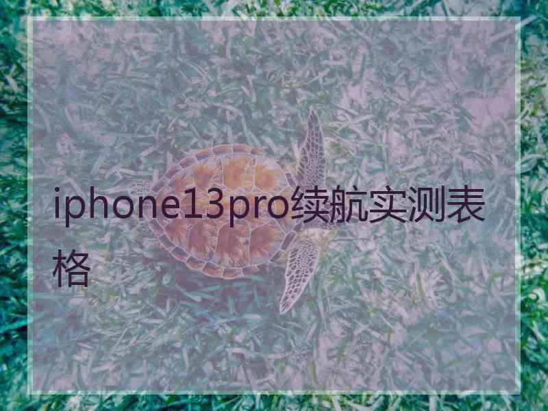 iphone13pro续航实测表格