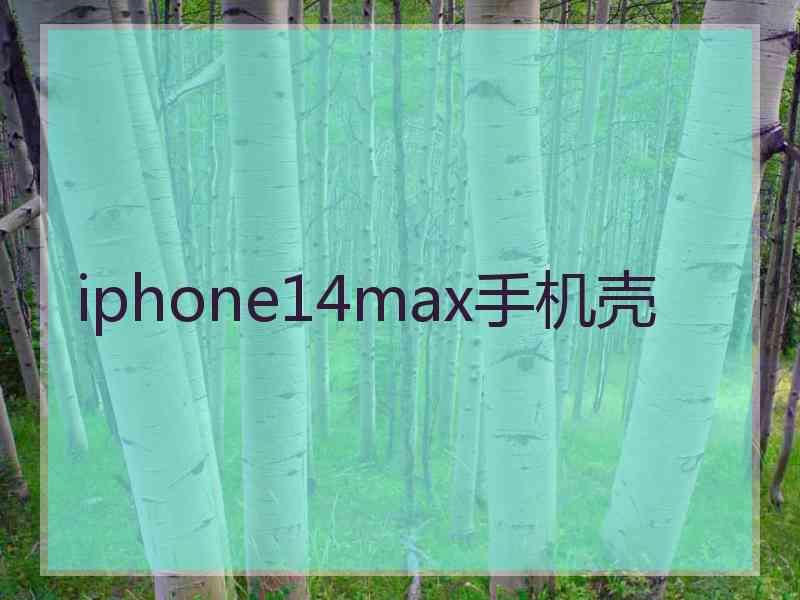 iphone14max手机壳