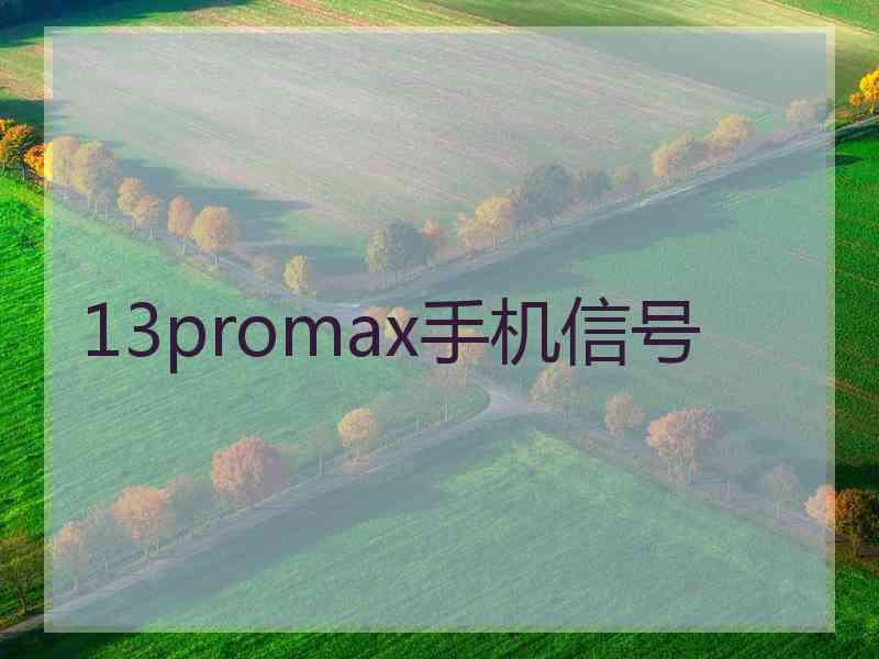 13promax手机信号