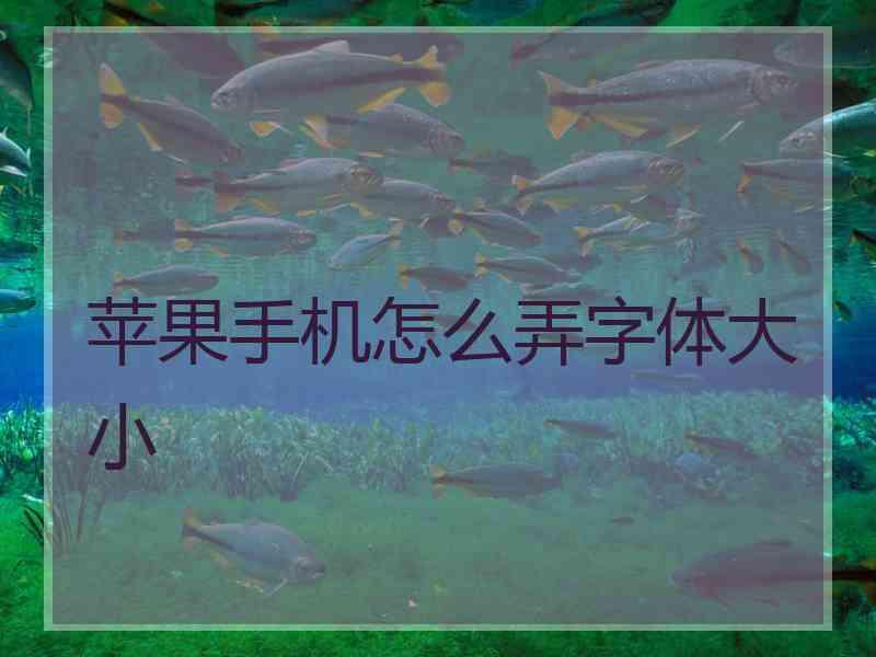 苹果手机怎么弄字体大小