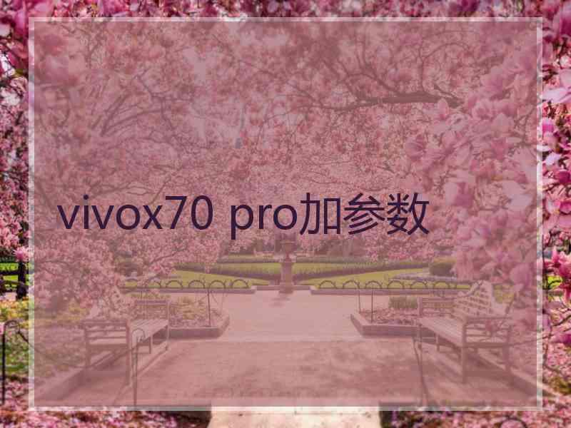 vivox70 pro加参数