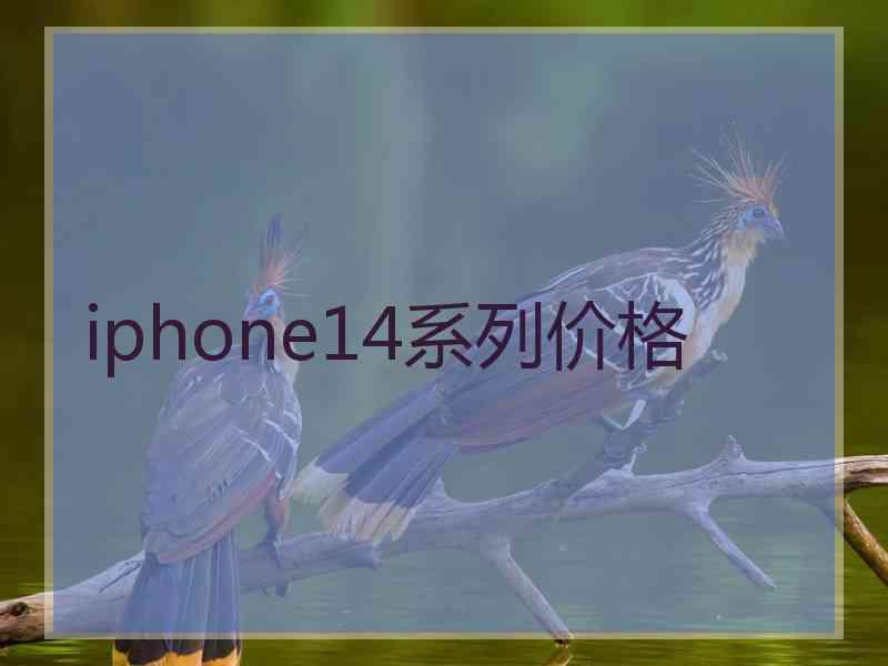 iphone14系列价格