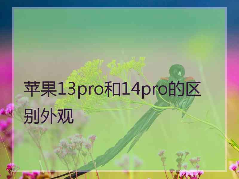 苹果13pro和14pro的区别外观