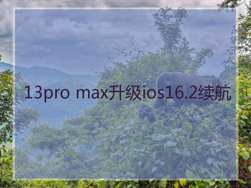 13pro max升级ios16.2续航