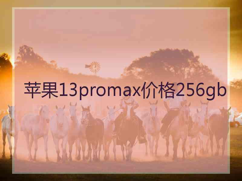 苹果13promax价格256gb