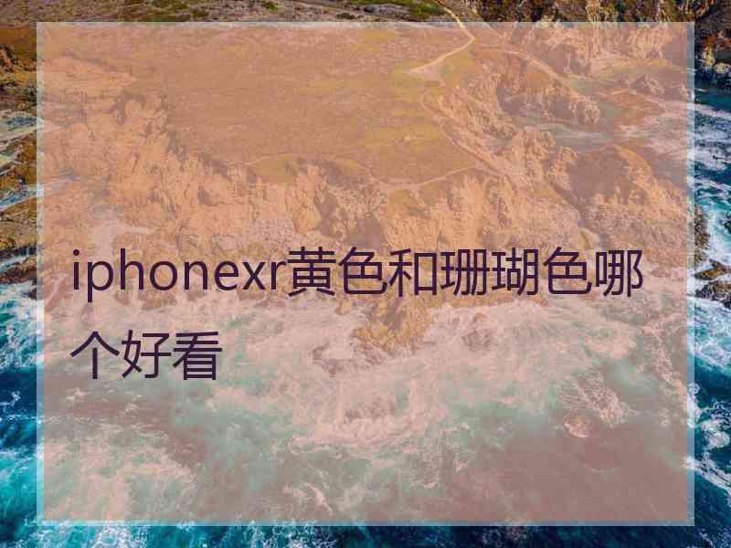 iphonexr黄色和珊瑚色哪个好看