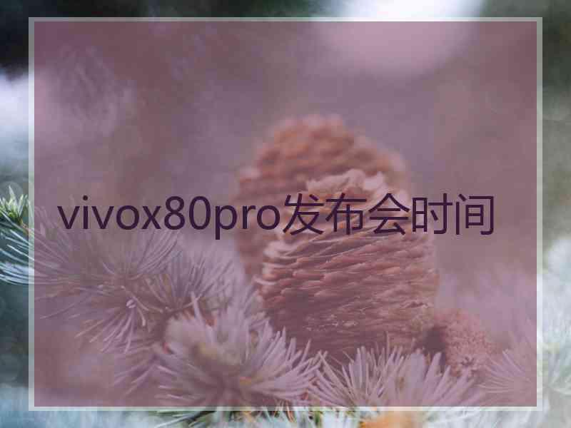 vivox80pro发布会时间