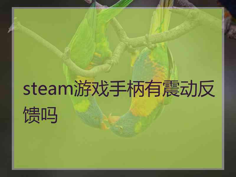 steam游戏手柄有震动反馈吗