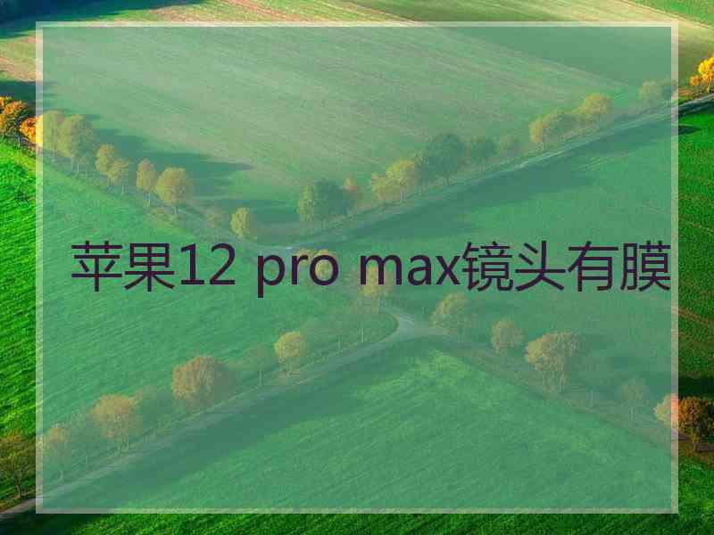 苹果12 pro max镜头有膜