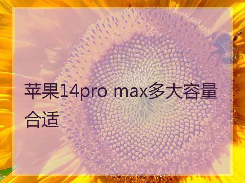 苹果14pro max多大容量合适