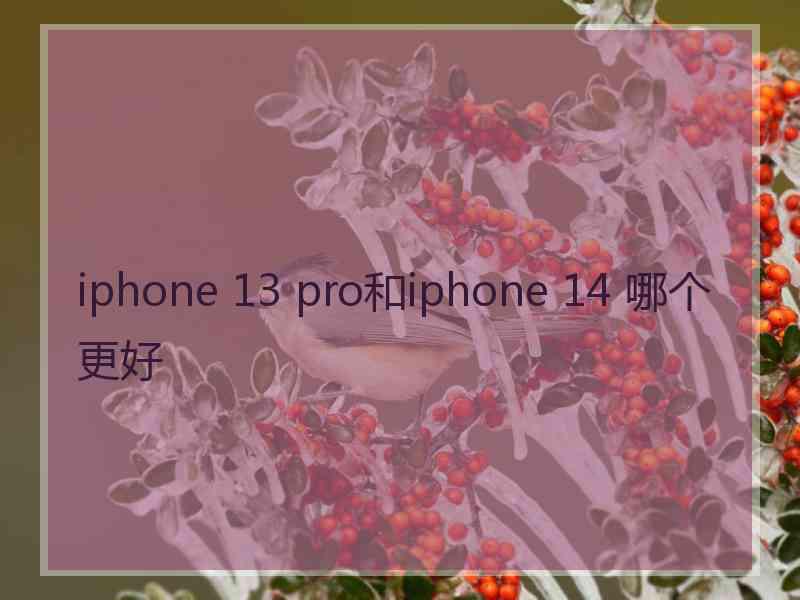 iphone 13 pro和iphone 14 哪个更好