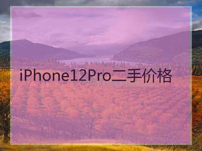 iPhone12Pro二手价格