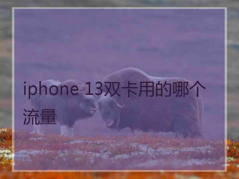 iphone 13双卡用的哪个流量