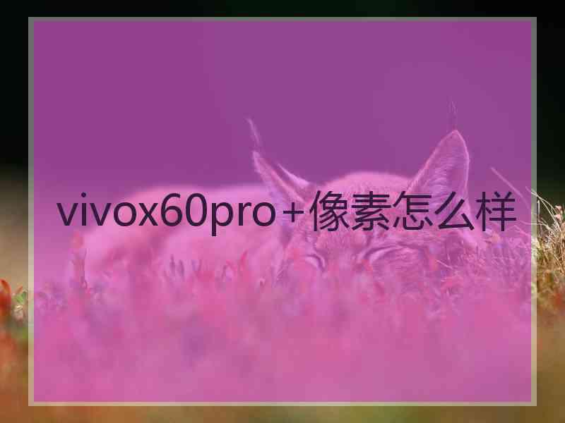 vivox60pro+像素怎么样