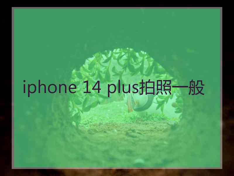 iphone 14 plus拍照一般