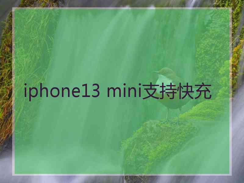 iphone13 mini支持快充