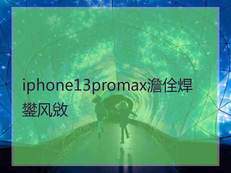 iphone13promax澹佺焊鐢风敓