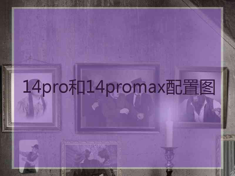 14pro和14promax配置图